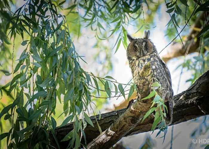 Auf Der Tenne Maison d'hôtes 3*